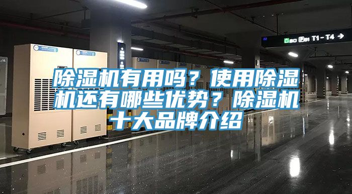 除濕機有用嗎？使用除濕機還有哪些優(yōu)勢？除濕機十大品牌介紹