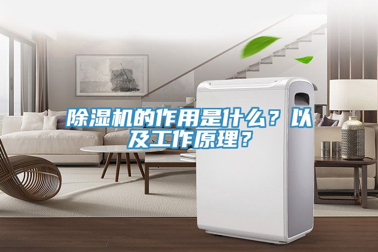 除濕機(jī)的作用是什么？以及工作原理？