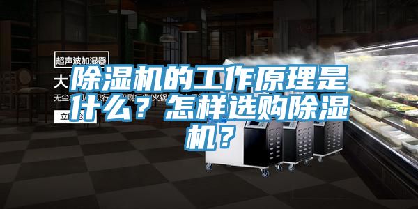 除濕機(jī)的工作原理是什么？怎樣選購(gòu)除濕機(jī)？