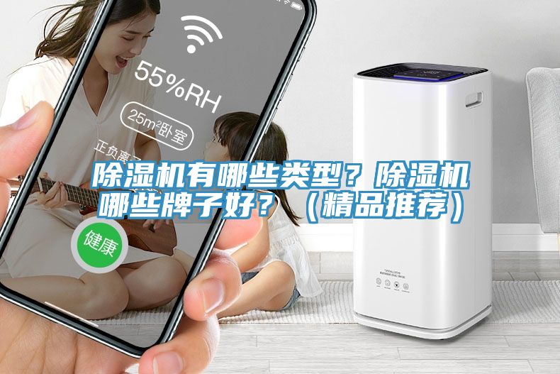 除濕機有哪些類型？除濕機哪些牌子好？（精品推薦）